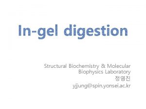 Structural Biochemistry Molecular Biophysics Laboratory yjjungspin yonsei ac
