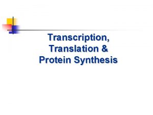 Transcription Translation Protein Synthesis Protein Synthesis n n