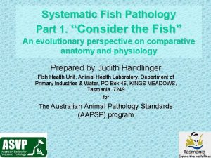 Systematic Fish Pathology Part 1 Consider the Fish