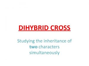 DIHYBRID CROSS Studying the inheritance of two characters