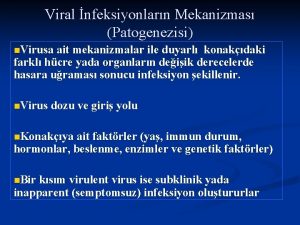 Viral nfeksiyonlarn Mekanizmas Patogenezisi n Virusa ait mekanizmalar