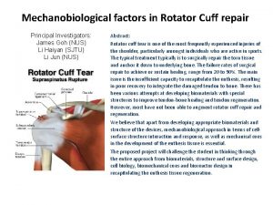 Mechanobiological factors in Rotator Cuff repair Principal Investigators