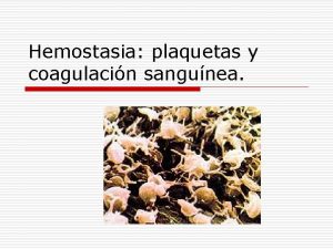 Hemostasia plaquetas y coagulacin sangunea Hemostasia o Procesos