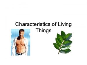 Characteristics of Living Things Living creatures are ORGANIZED