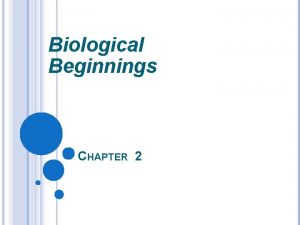 Biological Beginnings CHAPTER 2 GENOTYPE AND PHENOTYPE Genotype