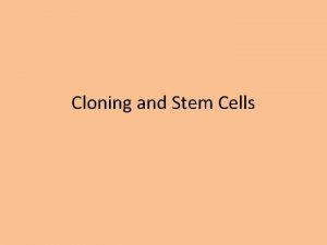 Cloning and Stem Cells Stem Cells Cells that
