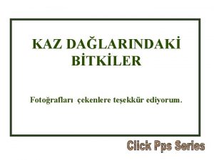 KAZ DALARINDAK BTKLER Fotoraflar ekenlere teekkr ediyorum Kazdalarnn