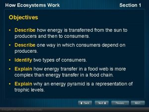 How Ecosystems Work Section 1 Objectives Describe how