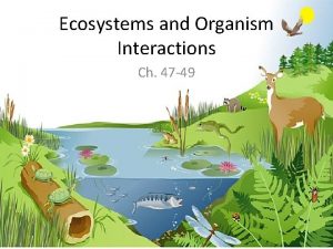 Ecosystems and Organism Interactions Ch 47 49 The