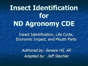 Insect Identification for ND Agronomy CDE Insect Identification