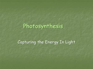 Photosynthesis Capturing the Energy In Light Photosynthesis n