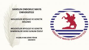 SAMSUN ONDOKUZ MAYIS NVERSTES MOLEKLER BYOLOJ VE GENETK