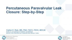 Percutaneous Paravalvular Leak Closure StepbyStep Carlos E Ruiz