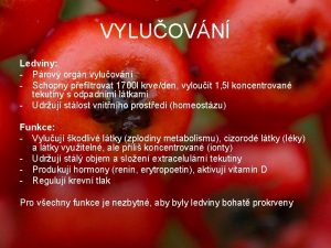 VYLUOVN Ledviny Prov orgn vyluovn Schopny pefiltrovat 1700