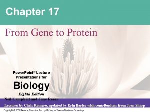 Chapter 17 From Gene to Protein Power Point