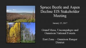 Spruce Beetle and Aspen Decline EIS Stakeholder Meeting