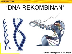 BIOTEKNOLOGI DNA REKOMBINAN Anwari Adi Nugroho S Pd