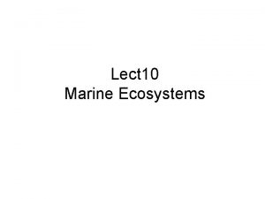 Lect 10 Marine Ecosystems Lect 07 Marine Ecosystems