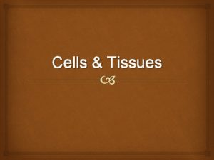 Cells Tissues Tissues Groups of cells with a