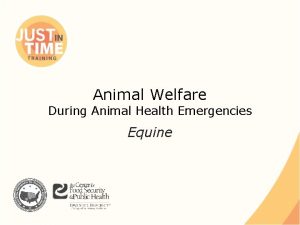 Animal Welfare During Animal Health Emergencies Equine Animal