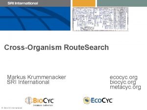 CrossOrganism Route Search Markus Krummenacker SRI International 2014