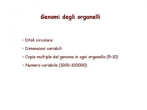 Genomi degli organelli DNA circolare Dimensioni variabili Copie