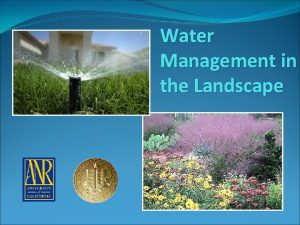 Water Management in the Landscape Irrigation Scheduling Involves