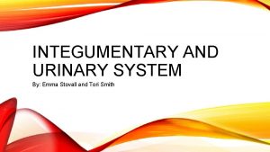 INTEGUMENTARY AND URINARY SYSTEM By Emma Stovall and