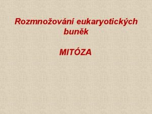 Rozmnoovn eukaryotickch bunk MITZA Bunn dlen je podmnkou