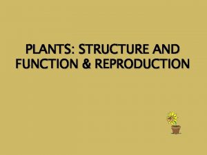 PLANTS STRUCTURE AND FUNCTION REPRODUCTION Plants Grouped by