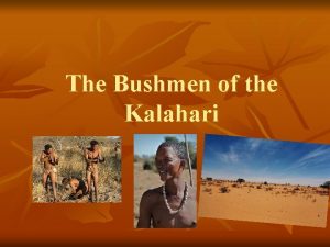 The Bushmen of the Kalahari Overview n n