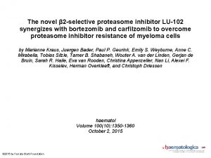 The novel 2 selective proteasome inhibitor LU102 synergizes