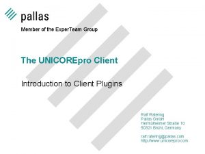 Member of the Exper Team Group The UNICOREpro