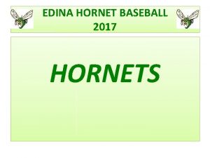 Edina youth baseball