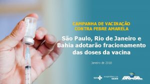 CAMPANHA DE VACINAO CONTRA FEBRE AMARELA So Paulo