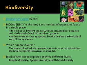 Biodiversity Biodiversity Video 6 min BIODIVERSITY is the