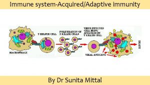 Immune systemAcquiredAdaptive immunity By Dr Sunita Mittal Learning