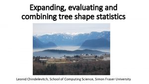 Expanding evaluating and combining tree shape statistics Leonid