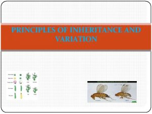PRINCIPLES OF INHERITANCE AND VARIATION PRINCIPLES OF INHERITANCE