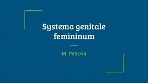 Systema genitale femininum