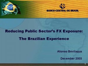 Reducing Public Sectors FX Exposure The Brazilian Experience