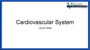 Cardiovascular System Lamon Willis The Heart The Heart