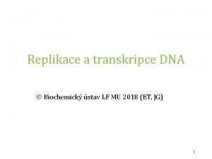 Replikace a transkripce DNA Biochemick stav LF MU