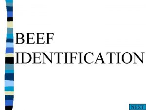 BEEF IDENTIFICATION NEXT PARTS A Muzzle B C