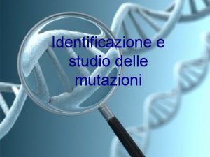 Identificazione e studio delle mutazioni Le mutazioni La