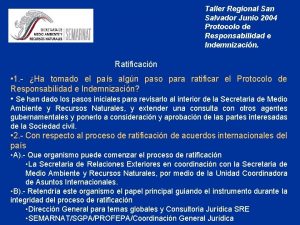 Taller Regional San Salvador Junio 2004 Protocolo de
