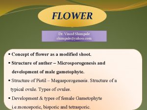 FLOWER Dr Vinod Shimpale shimpaleyahoo com Concept of