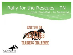 Rally for the Rescues TN From Unwanted To