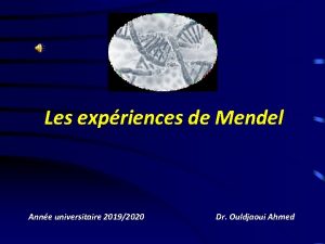 Les expriences de Mendel Anne universitaire 20192020 Dr