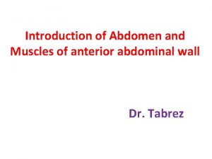 Introduction of Abdomen and Muscles of anterior abdominal